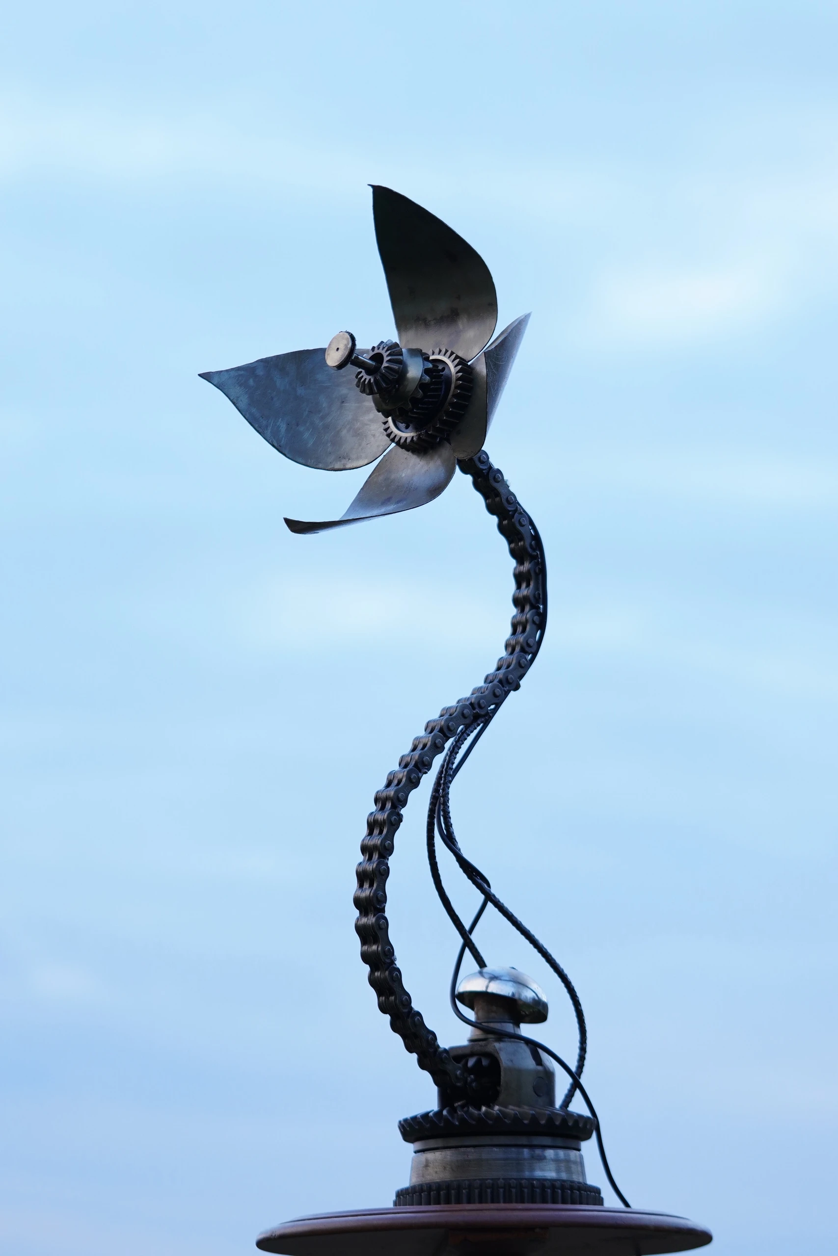 Plantoid 19